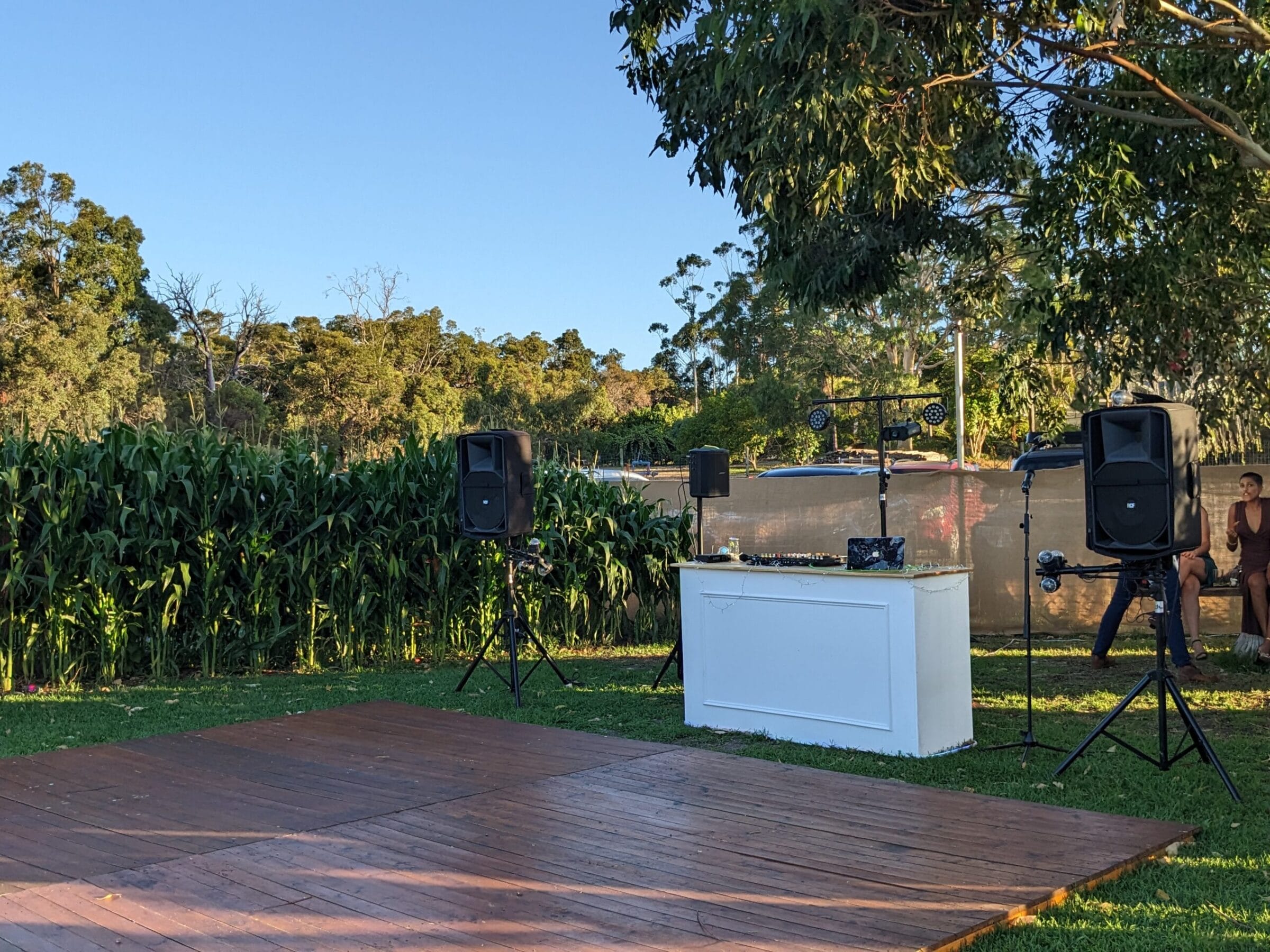 Wedding DJ Starma Llama