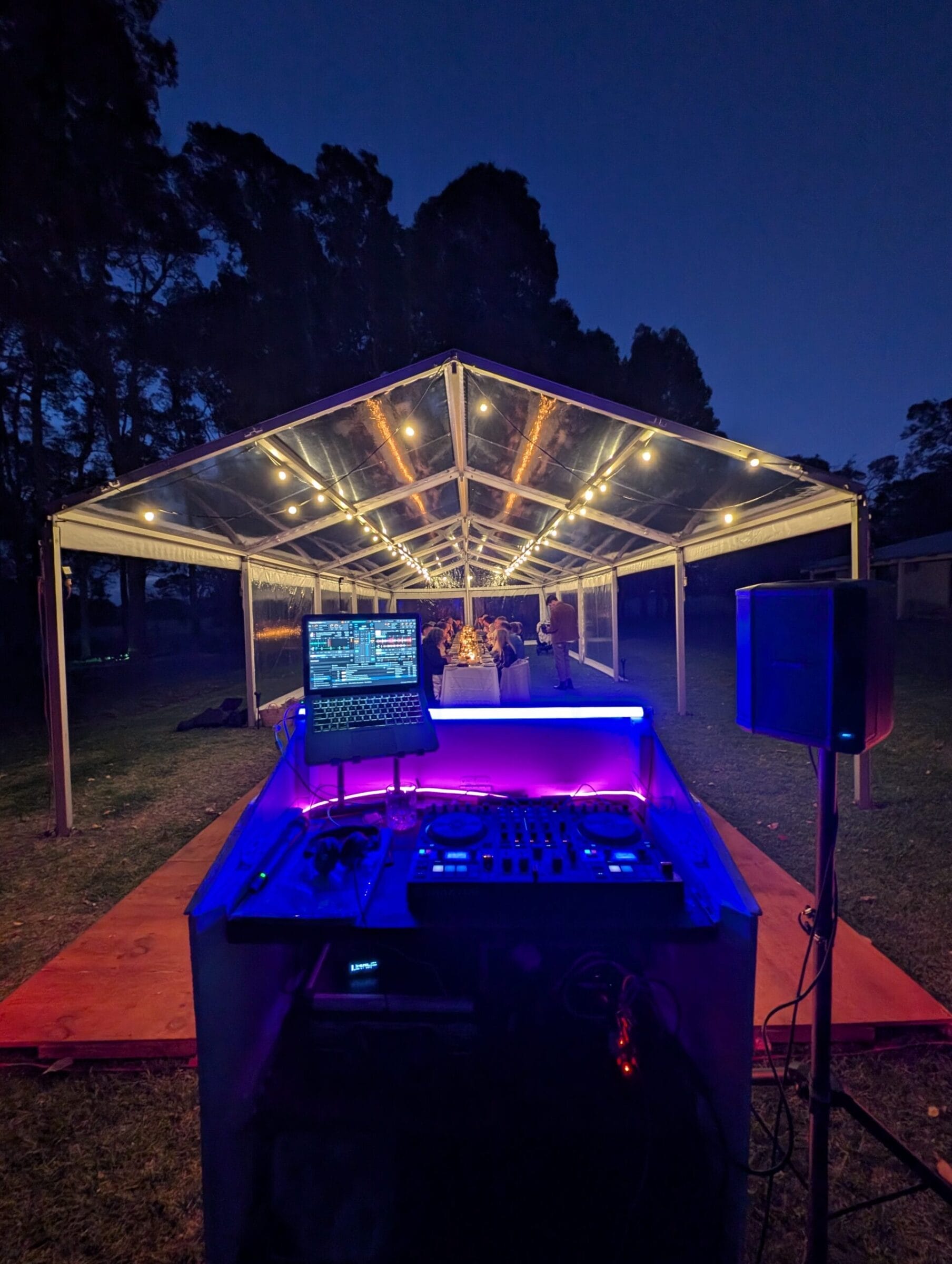Wedding DJ Starma Llama