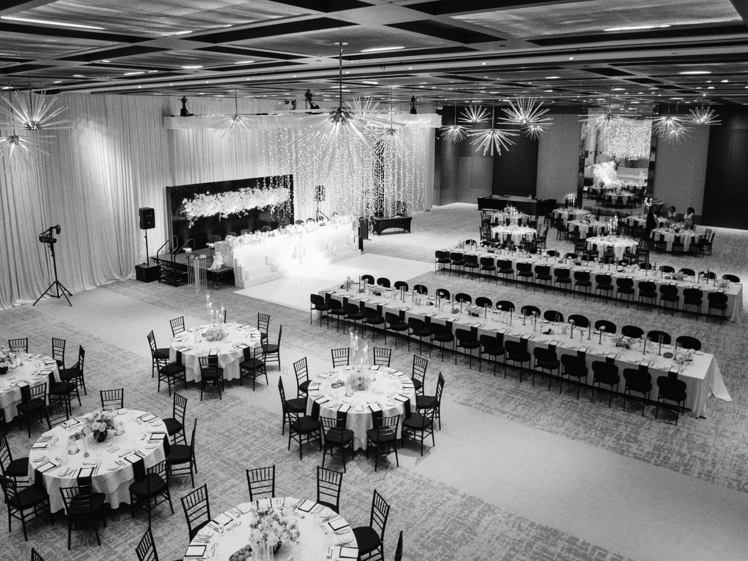 Wedding DJ Starma Llama